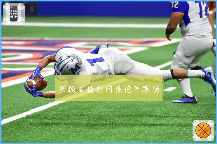 樊振东精彩问鼎德甲赛场