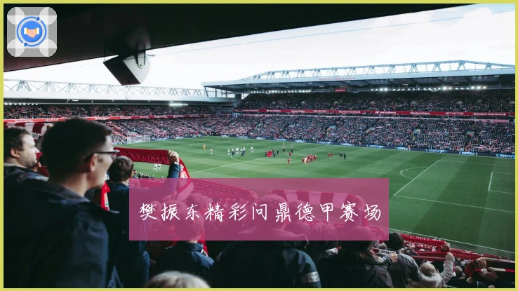 樊振东精彩问鼎德甲赛场