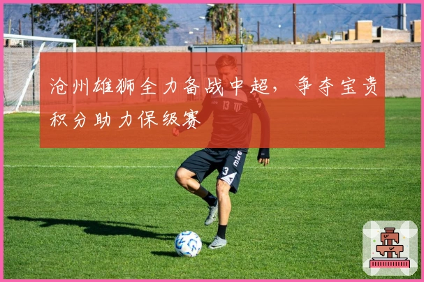 沧州雄狮全力备战中超，争夺宝贵积分助力保级赛