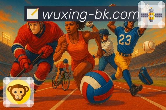 功能结构体系图